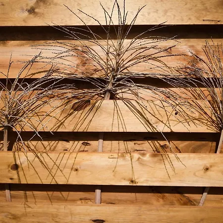 Mini Loft Tesa דירה