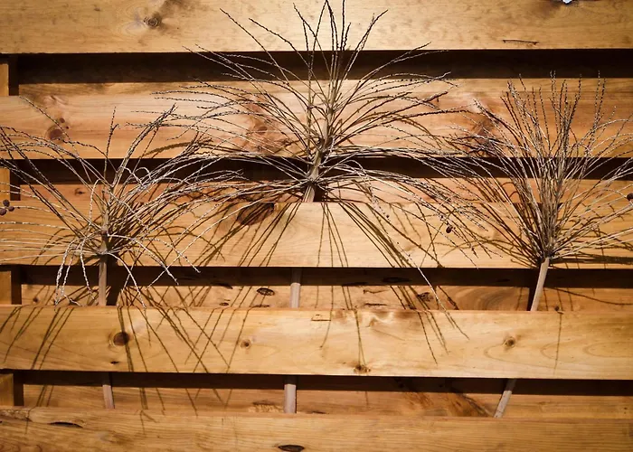 Mini Loft Tesa דירה