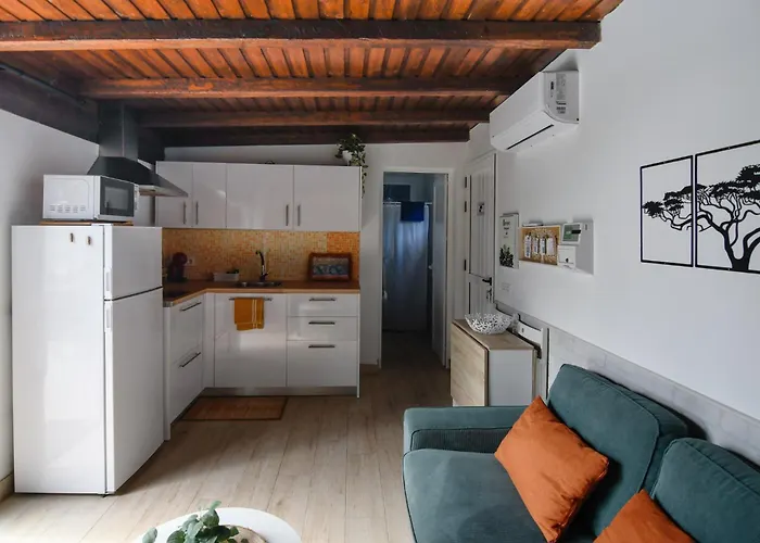 Mini Loft Tesa Apartment *